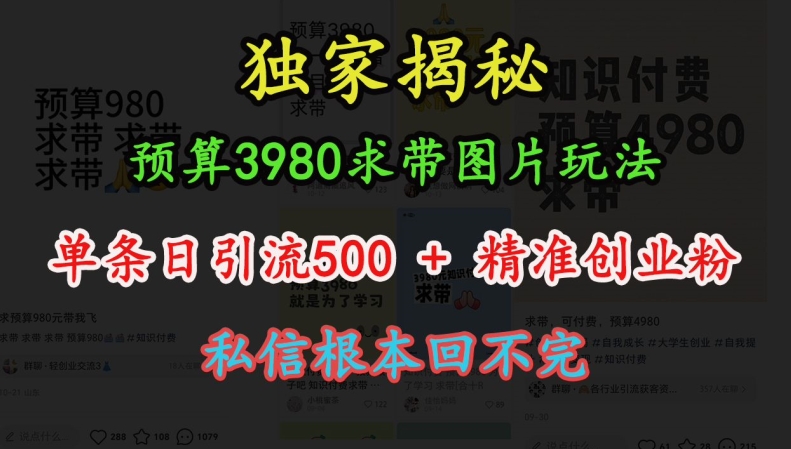 预算3980求带 图片玩法,单条日引流500+精准创业粉,私信根本回不完-青禾学社