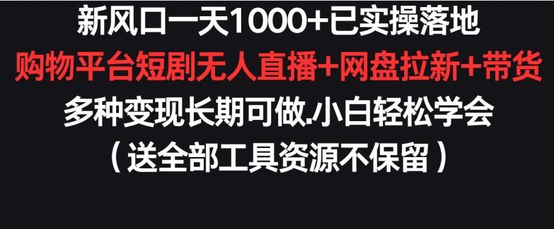 新风口一天1000+已实操落地购物平台短剧无人直播+网盘拉新+带货多种变现长期可做【揭秘】-青禾学社