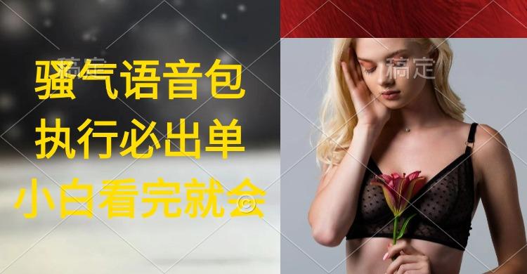 (9589期)执行就出单，日入2000+，超火骚气语音包，小白看完课程就能马上实操-青禾学社