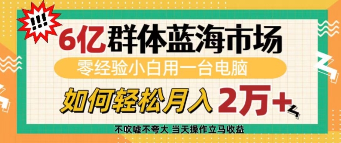 6亿群体蓝海市场,零经验小白用一台电脑,如何轻松月入过w【揭秘】-青禾学社