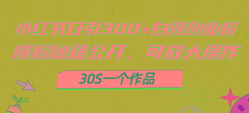 小红书日引300+高质白领创业粉,可放大操作,爆粉秘籍!30s一个作品-青禾学社