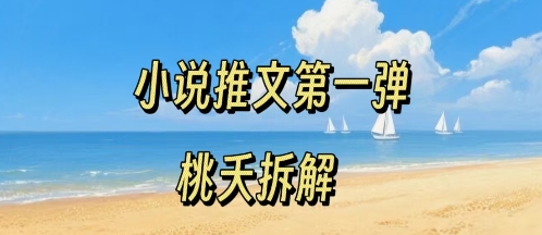 小说推文项目操作全流程第一弹，0粉就能做，门槛低非常适合新手-青禾学社