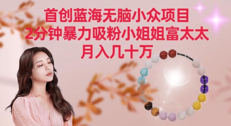 首创蓝海无脑小众项目，2分钟暴力吸粉小姐姐富太太，月入几十万【揭秘】-青禾学社