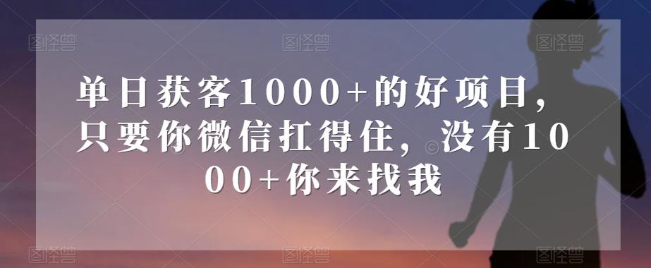 单日获客1000+的好项目，只要你微信扛得住，没有1000+你来找我【揭秘】-青禾学社