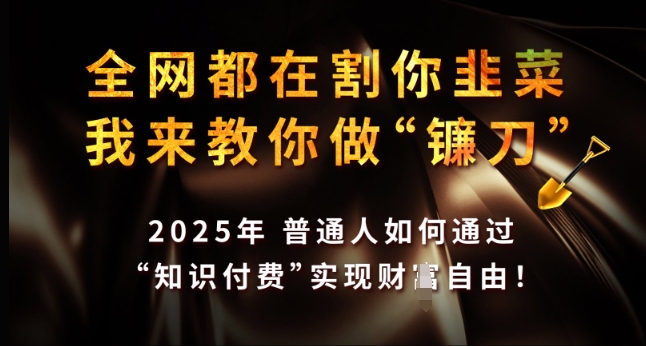 全网都在割你韭菜,我来教你做镰刀,2025年普通人如何通过 知识付费 实现财F自由【揭秘】-青禾学社