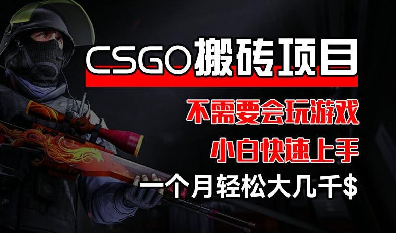 CSGO 装备搬砖项目,操作简单,不需要会玩游戏,小白也能快速上手,一个月轻松大几千【揭秘】-青禾学社