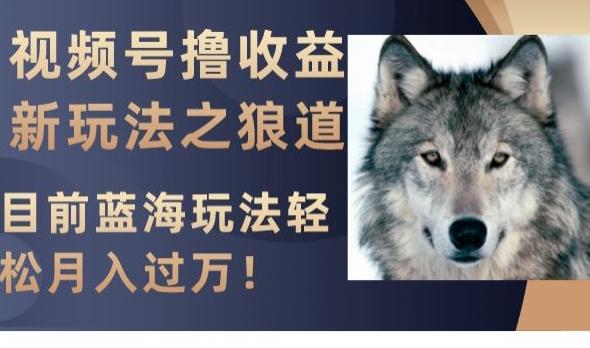 视频号撸收益新玩法之狼道,目前蓝海玩法,轻松月入过万【揭秘】-青禾学社