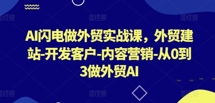 AI闪电做外贸实战课,外贸建站-开发客户-内容营销-从0到3做外贸AI(更新)-青禾学社