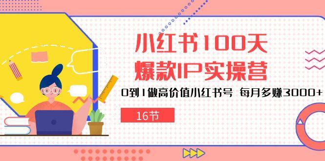 小红书100天-爆款IP实操营，0到1做高价值小红书号 每月多赚3000+(16节-青禾学社