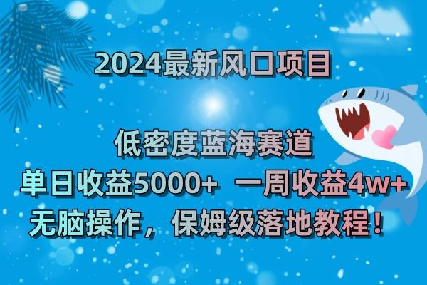 (8545期)2024最新风口项目 低密度蓝海赛道，日收益5000+周收益4w+ 无脑操作，保…-青禾学社