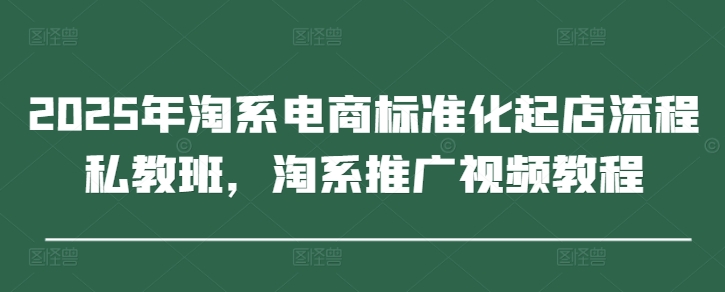 2025年淘系电商标准化起店流程私教班，淘系推广视频教程-青禾学社