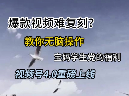 视频号4.0重磅上线，爆款视频难复刻？教你无脑操作宝妈学生党的福利【揭秘】-青禾学社