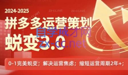 大力老师·2024拼多多运营策略蜕变3.0-青禾学社