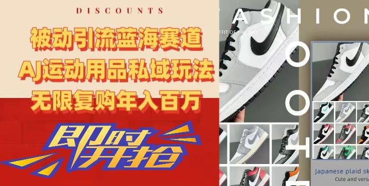 被动引流蓝海赛道,AJ运动用品私域玩法,无限复购年入百万【揭秘】-青禾学社