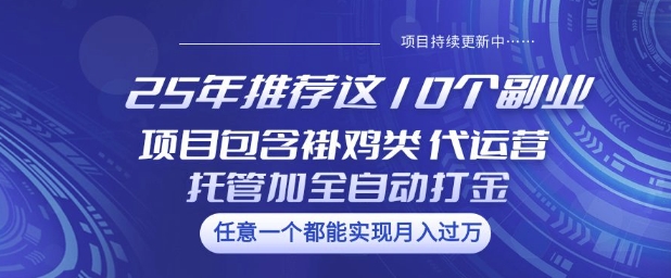 25年推荐这10个副业项目包含褂鸡类、代运营托管类、全自动打金类【揭秘】-青禾学社