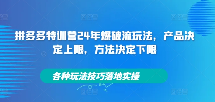 拼多多特训营24年爆破流玩法,产品决定上限,方法决定下限,各种玩法技巧落地实操-青禾学社