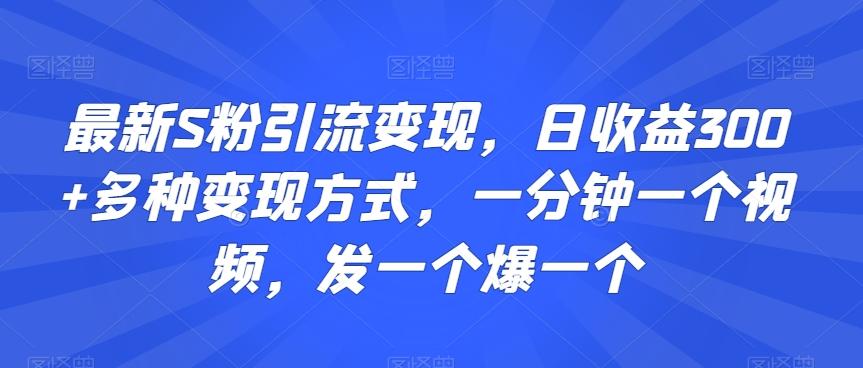 最新S粉引流变现，日收益300+多种变现方式，一分钟一个视频，发一个爆一个【揭秘】-青禾学社