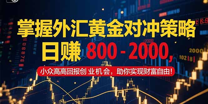 掌握外汇黄金对冲策略,日赚 800 – 2000,小众高回报创业机会,助你实…-青禾学社