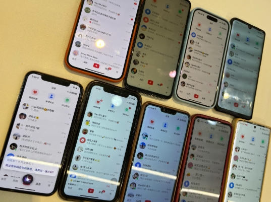 首发揭秘小红书私域日引500+创业粉四大模板，月入过W+全程干货!没有废话!保姆教程!-青禾学社