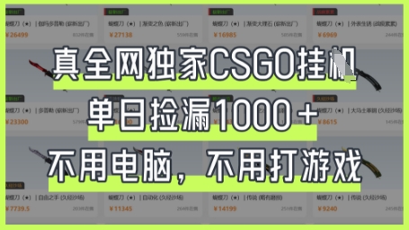 真全网独家CSGO挂G，单日捡漏1k+【揭秘】-青禾学社