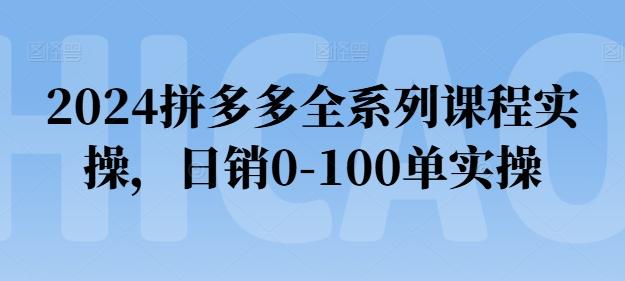 2024拼多多全系列课程实操,日销0-100单实操【必看】-青禾学社