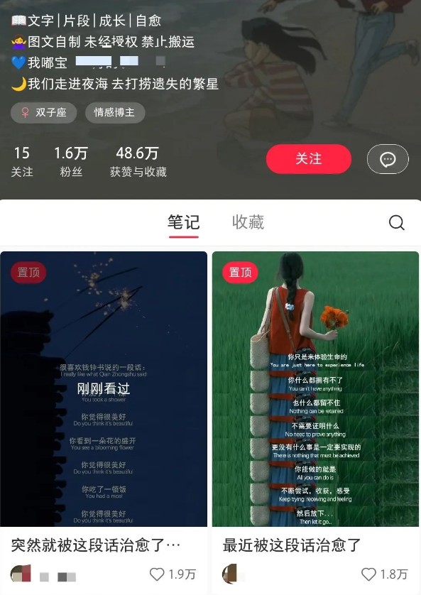 小红书治愈文案图文笔记,零门槛,一分钟制作轻松制作爆款作品月入万元-青禾学社