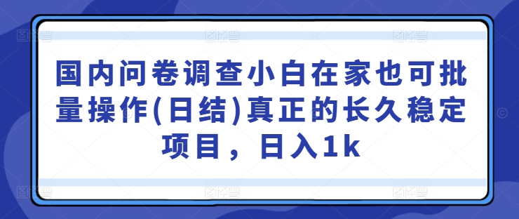 国内问卷调查小白在家也可批量操作(日结)真正的长久稳定项目，日入1k【揭秘】-青禾学社