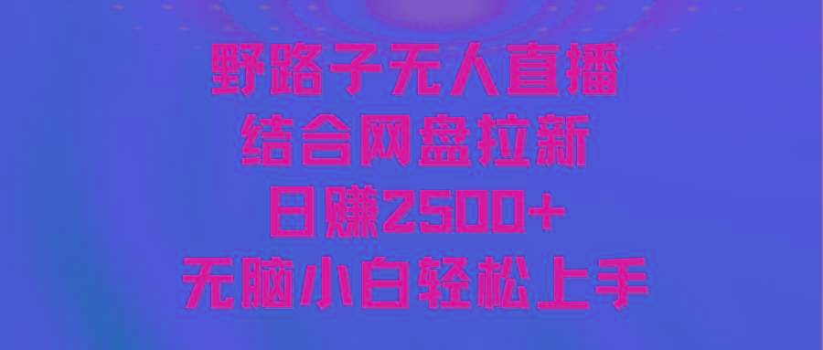 无人直播野路子结合网盘拉新，日赚2500+多平台变现，小白无脑轻松上手操作-青禾学社