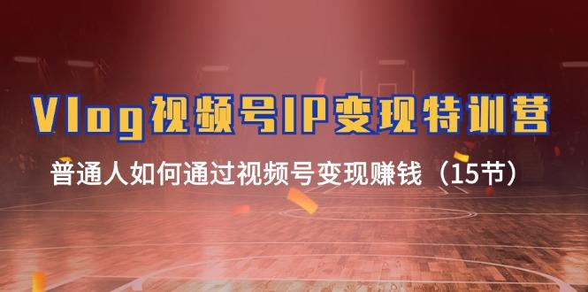 Vlog 视频号IP变现特训营，普通人如何通过视频号变现赚钱(15节-青禾学社