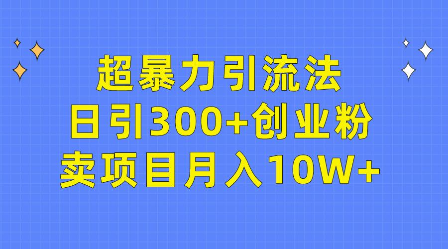 (9954期)超暴力引流法,日引300+创业粉,卖项目月入10W+-青禾学社