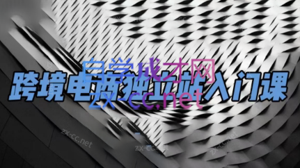 团长·跨境电商独立站入门课(2小时精华)-青禾学社