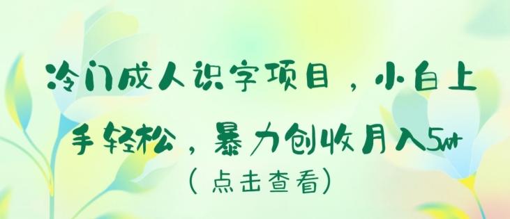 冷门成人识字项目，小白上手轻松，暴力创收月入5w+【揭秘】-青禾学社