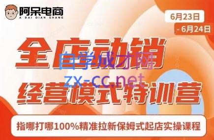 阿呆电商·全店动销经营模式特训营(线下录音+思维导图)-青禾学社