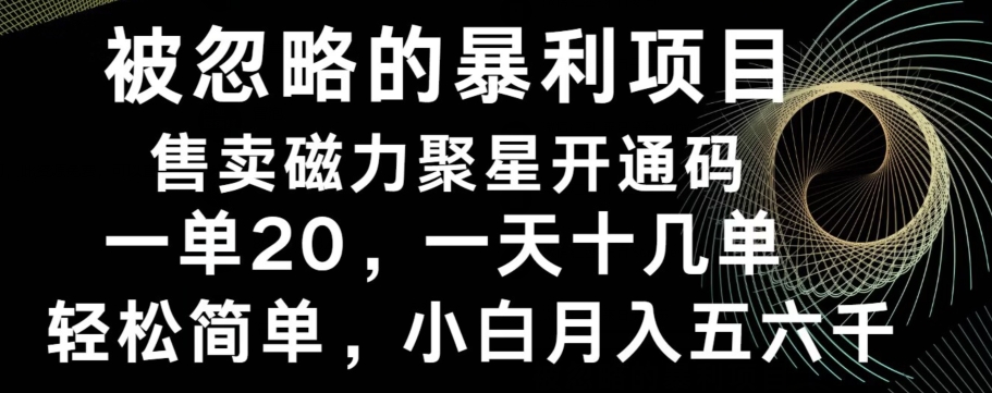 被忽略的暴利项目!售卖磁力聚星开通码,一单20,一天十几单,轻松月入五六千-青禾学社