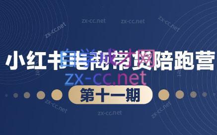 盗坤·小红书电商带货陪跑营(第十一期)-青禾学社