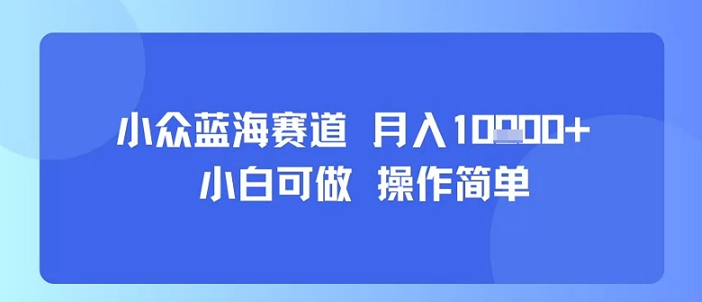 小众蓝海赛道,小白可做,操作简单,每天30分钟,月入1W+-青禾学社