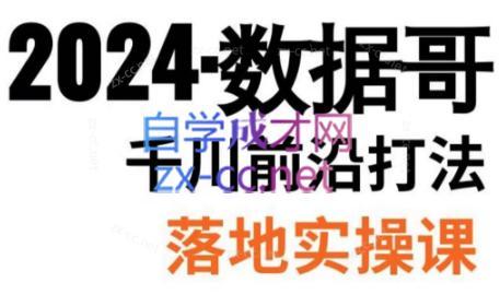数据哥·2024年千川前沿打法落地实操课-青禾学社