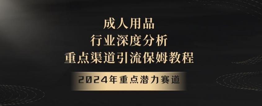 2024年重点潜力赛道,成人用品行业深度分析,重点渠道引流保姆教程【揭秘】-青禾学社