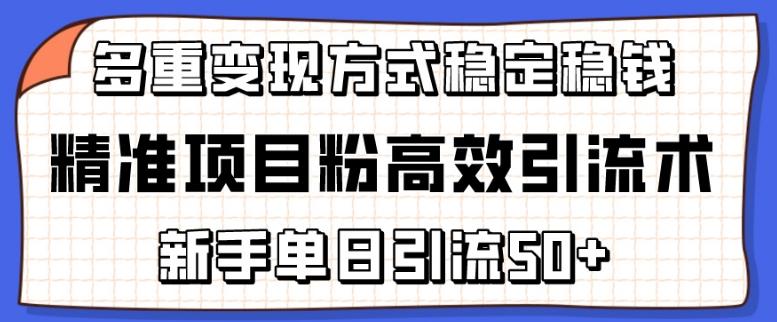 精准项目粉高效引流术,新手单日引流50+,多重变现方式稳定赚钱【揭秘】-青禾学社