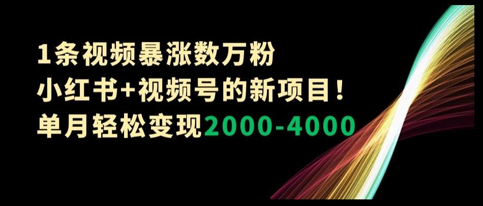 1条视频暴涨数万粉–小红书+视频号的新项目！单月轻松变现2000-4000【揭秘】-青禾学社