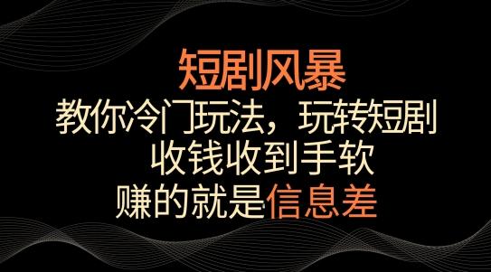 短剧风暴，教你冷门玩法，玩转短剧，收钱收到手软【揭秘】-青禾学社