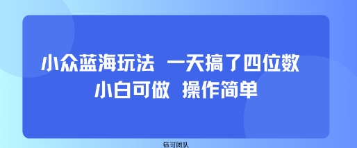 小众蓝海玩法 一天搞了四位数 小白可做 操作简单-青禾学社