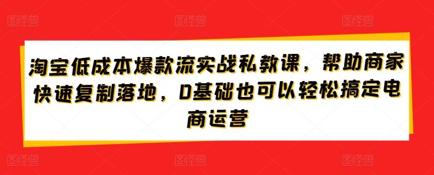 淘宝低成本爆款流实战私教课,帮助商家快速复制落地,0基础也可以轻松搞定电商运营-青禾学社