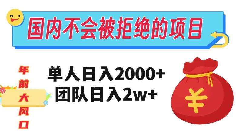在国内不怕被拒绝的项目,单人日入2000,团队日入20000+【揭秘】-青禾学社