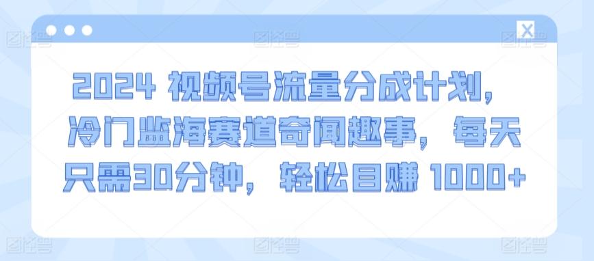 2024视频号流量分成计划,冷门监海赛道奇闻趣事,每天只需30分钟,轻松目赚 1000+【揭秘】-青禾学社