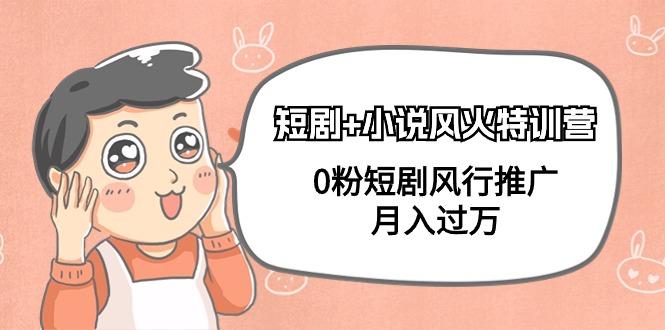 (9374期)短剧+小说风火特训营，0粉短剧风行推广，月入过万(102节课)-青禾学社