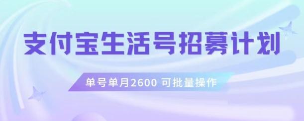 支付宝生活号作者招募计划,单号单月2600,可批量去做,工作室一人一个月轻松1w+【揭秘】-青禾学社