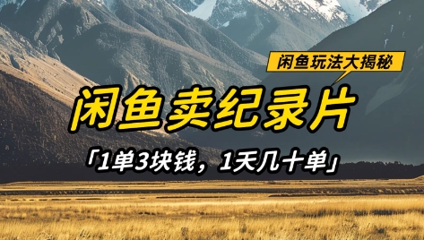 闲鱼卖纪录片1单3块钱,1天几十单,项目稳定有潜力-青禾学社