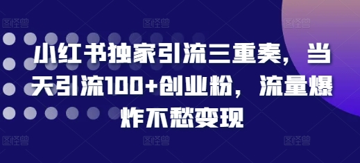 小红书独家引流三重奏,当天引流100+创业粉,流量爆炸不愁变现【揭秘】-青禾学社