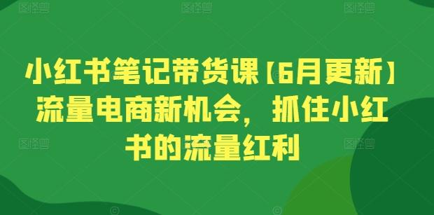小红书笔记带货课【6月更新】流量电商新机会,抓住小红书的流量红利-青禾学社